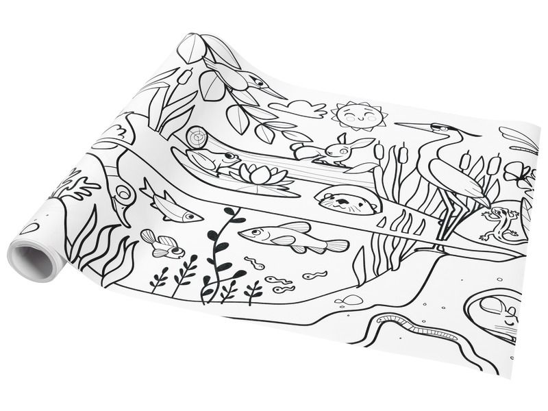 Fresque A Colorier Ecosysteme